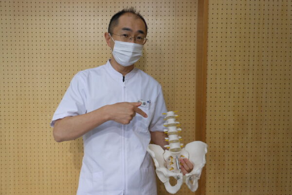骨盤模型を持っている佐藤です
